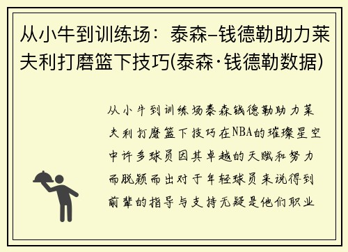 从小牛到训练场：泰森-钱德勒助力莱夫利打磨篮下技巧(泰森·钱德勒数据)