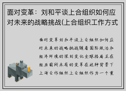 面对变革：刘和平谈上合组织如何应对未来的战略挑战(上合组织工作方式)