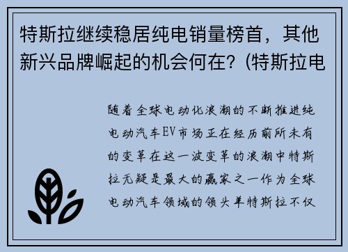 特斯拉继续稳居纯电销量榜首，其他新兴品牌崛起的机会何在？(特斯拉电动车销量2020)